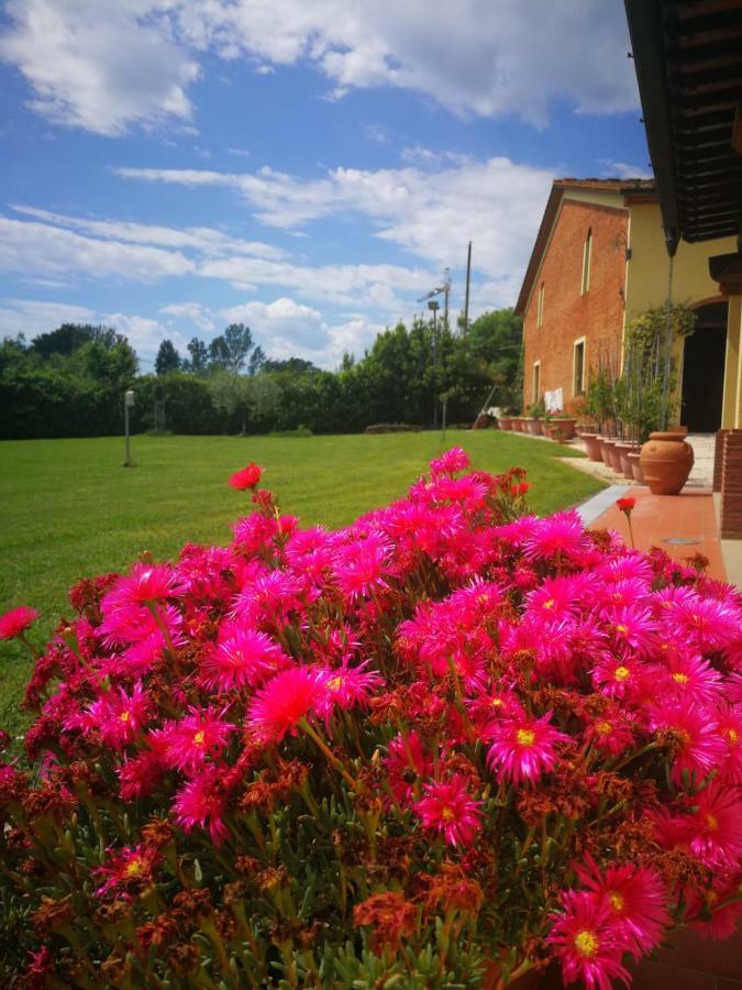 B&B La Fornace Del Sole Capannori Luaran gambar