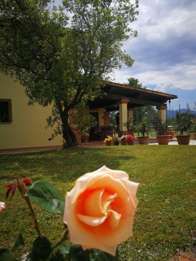 B&B La Fornace Del Sole Capannori Luaran gambar